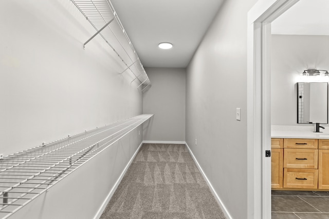 spacious closet featuring dark carpet and sink