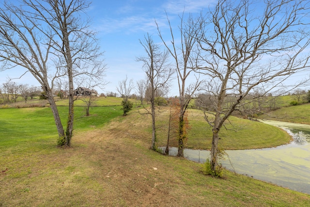 view of yard with a rural view