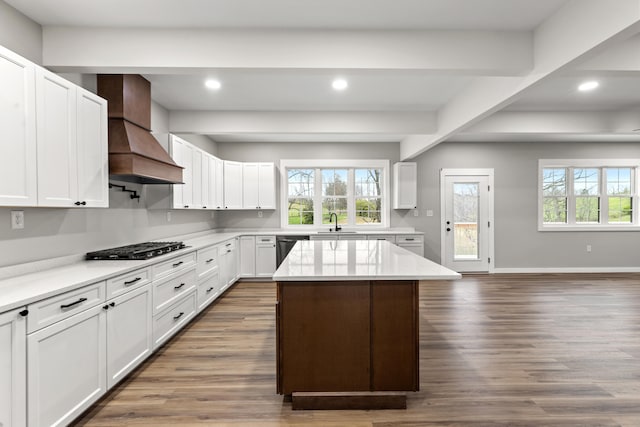 kitchen with a kitchen island, dark hardwood / wood-style flooring, white cabinets, custom exhaust hood, and appliances with stainless steel finishes