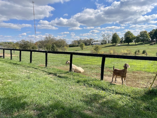 view of yard with a rural view