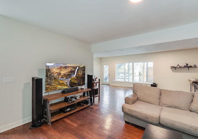 living room featuring hardwood / wood-style floors