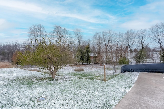 view of yard covered in snow