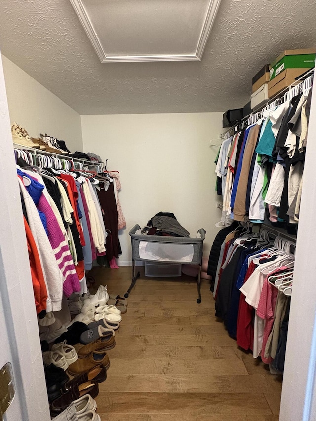 walk in closet featuring hardwood / wood-style flooring