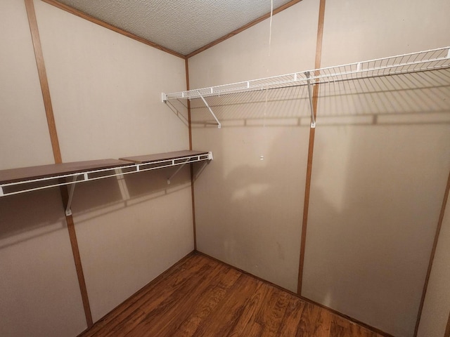 walk in closet with dark hardwood / wood-style floors and lofted ceiling