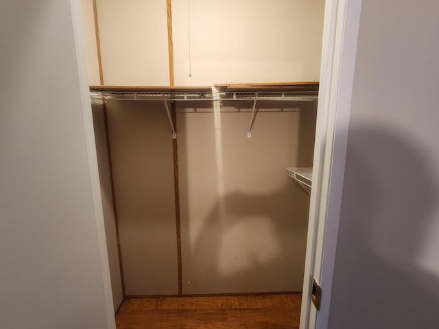 walk in closet with hardwood / wood-style flooring