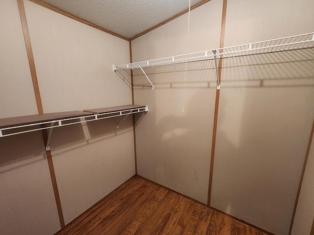 spacious closet featuring wood finished floors