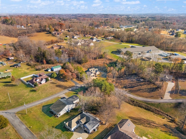 bird's eye view