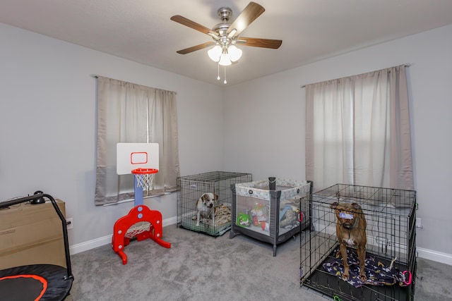 interior space with carpet and ceiling fan