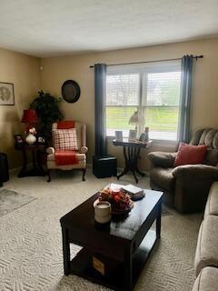 living room featuring carpet