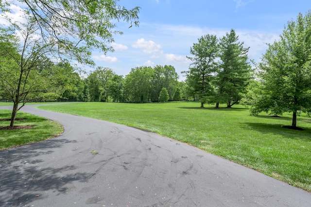 view of property's community with a yard