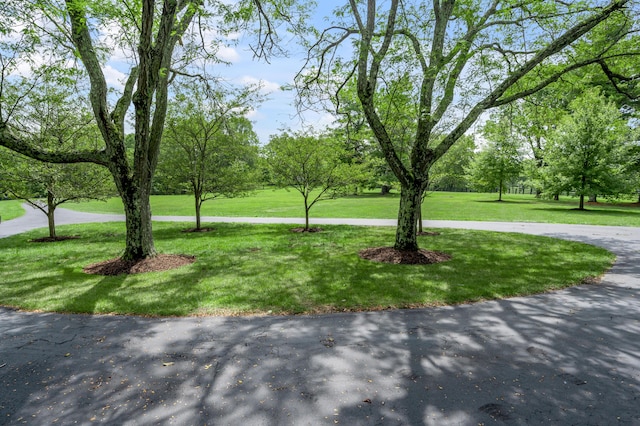 1821 Delong Rd, Lexington, KY 40515 - view of community featuring a lawn