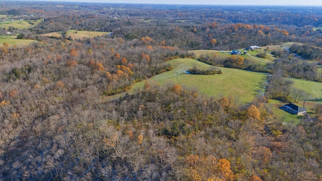 bird's eye view with a forest view