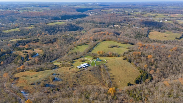 bird's eye view