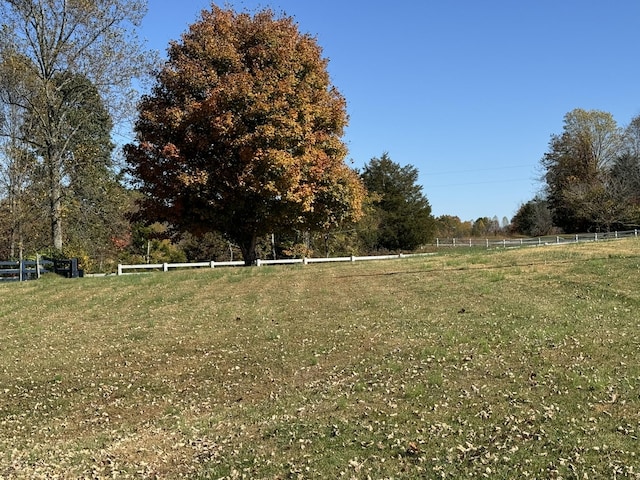 view of yard featuring a rural view