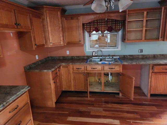 kitchen featuring ornamental molding, sink, and dark wood-type flooring