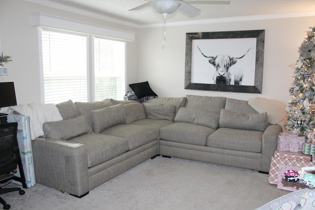 carpeted living room with ceiling fan and crown molding