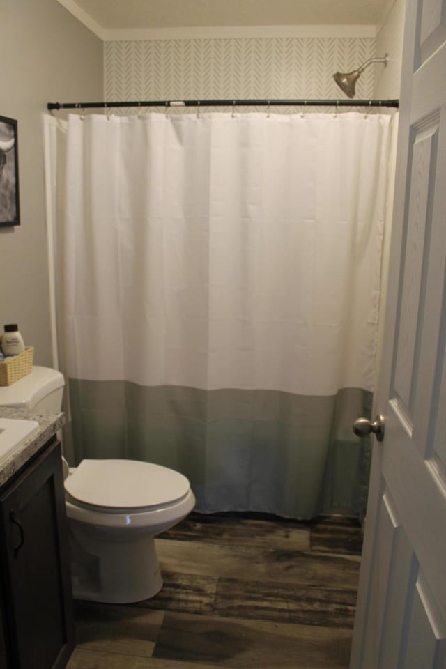 bathroom featuring a shower with curtain, vanity, and wood-type flooring