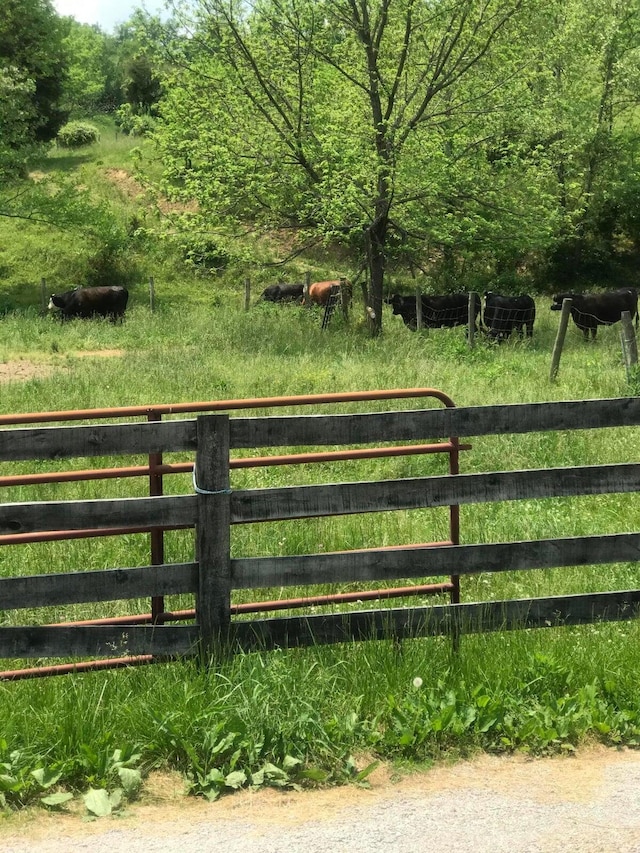 view of gate featuring a rural view