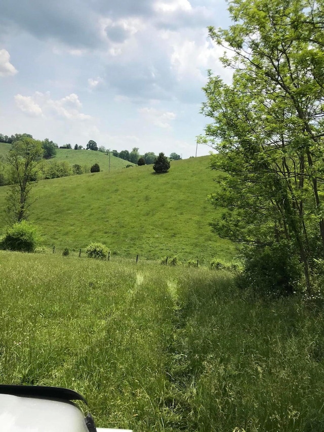 view of local wilderness