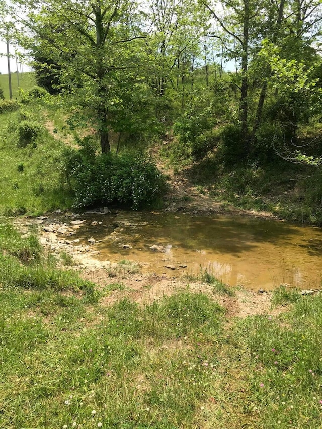 view of landscape featuring a water view