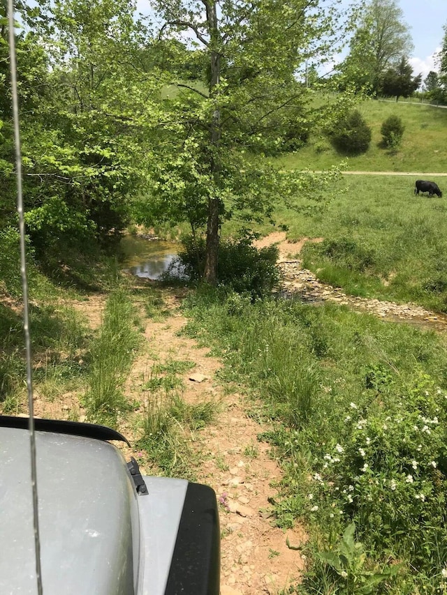 view of yard with a water view