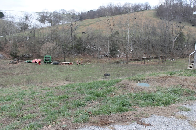 view of yard featuring a rural view