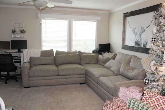 carpeted living room featuring ceiling fan and ornamental molding