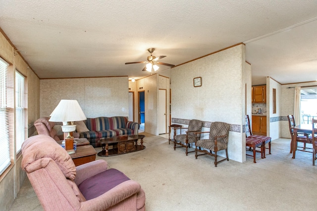 carpeted living room with ceiling fan, crown molding, and a textured ceiling