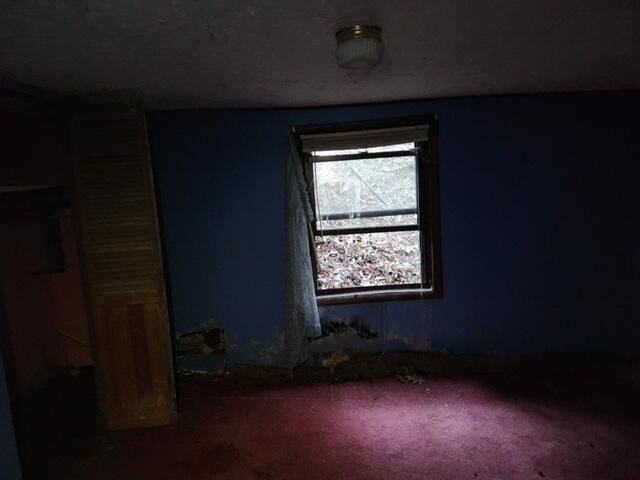 spare room featuring dark carpet