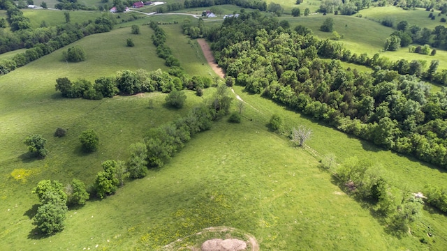 aerial view with a rural view