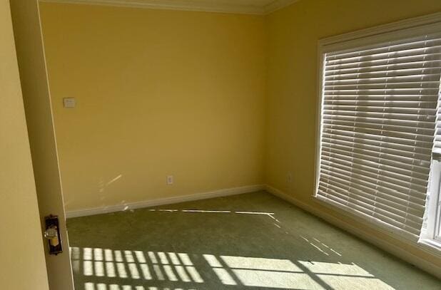 spare room with carpet and ornamental molding