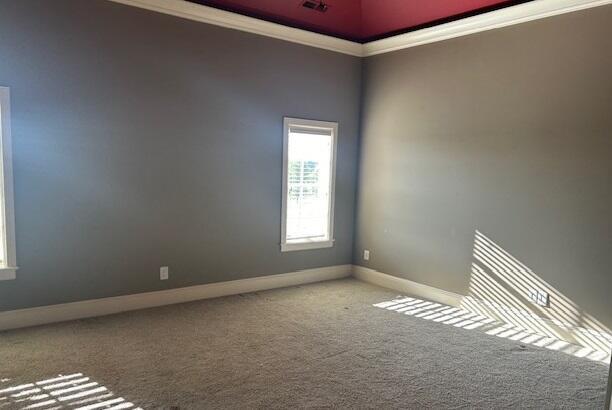 empty room with carpet and ornamental molding