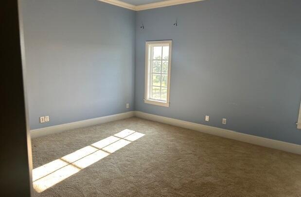 carpeted spare room featuring crown molding