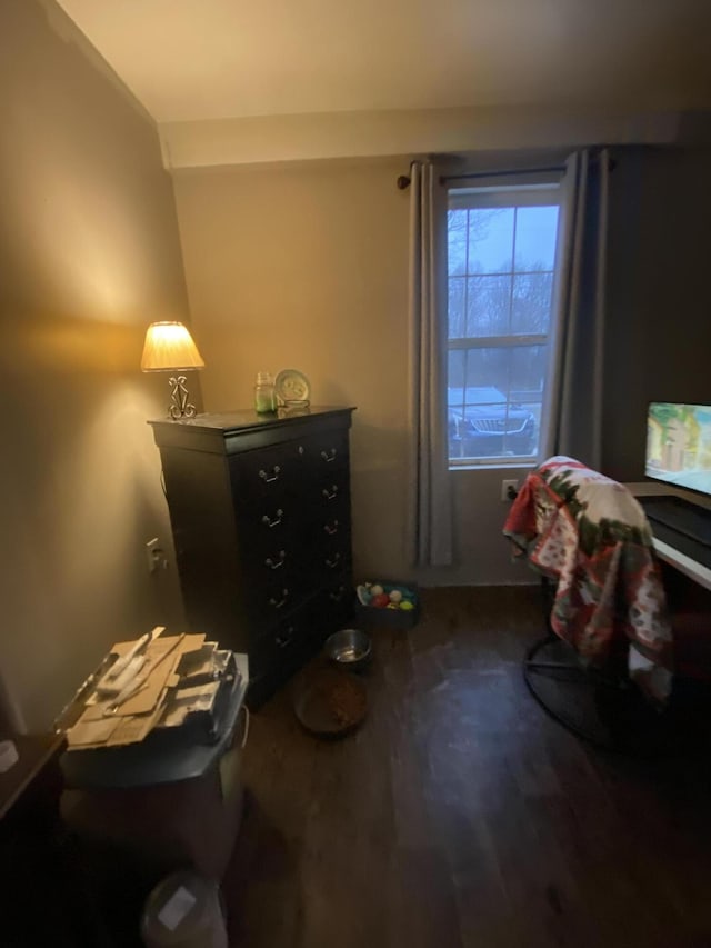 interior space featuring hardwood / wood-style flooring