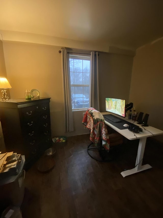 office area featuring hardwood / wood-style flooring