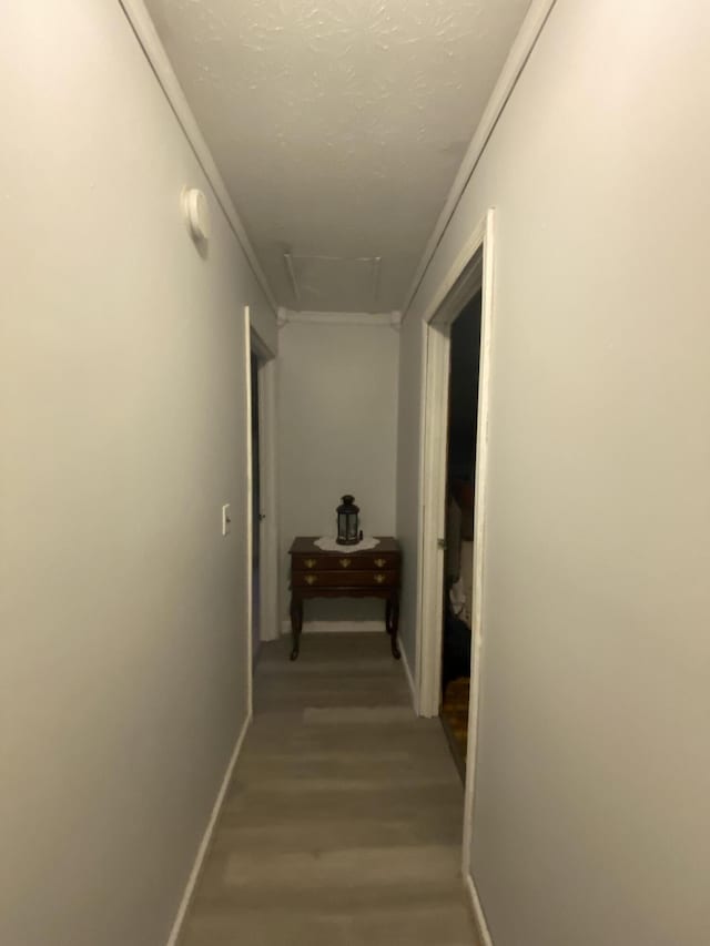 hallway with wood-type flooring and crown molding