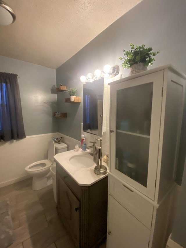 bathroom featuring vanity, toilet, and wood-type flooring