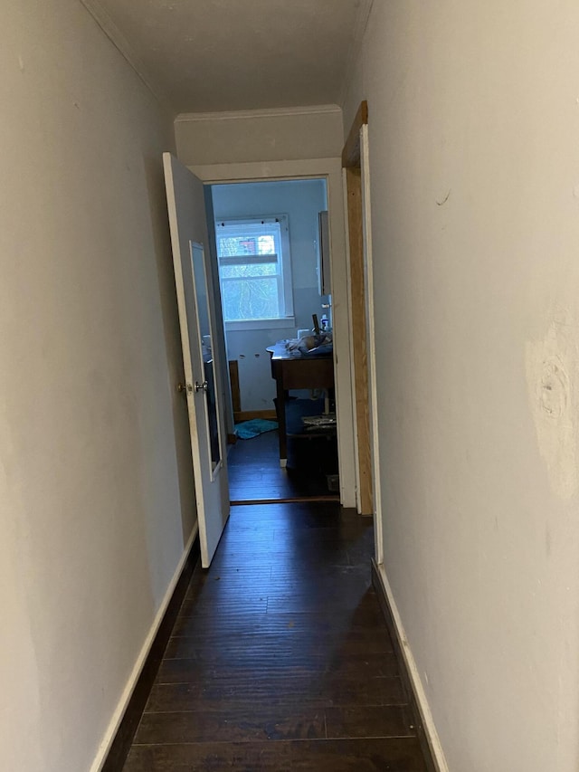 hallway with dark hardwood / wood-style floors and ornamental molding