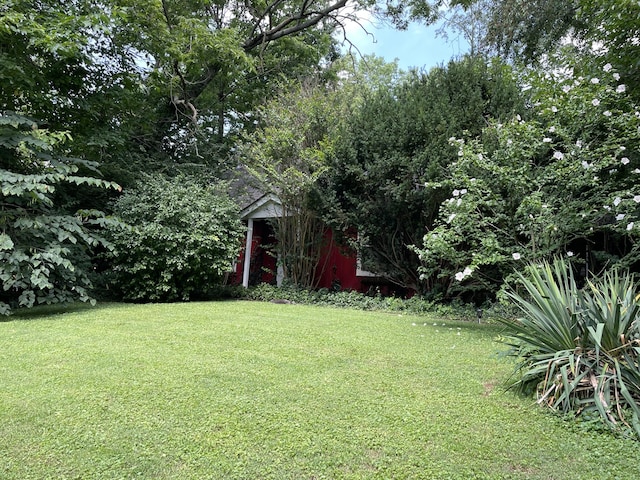 view of yard with a storage shed