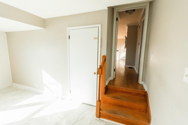 staircase featuring wood-type flooring