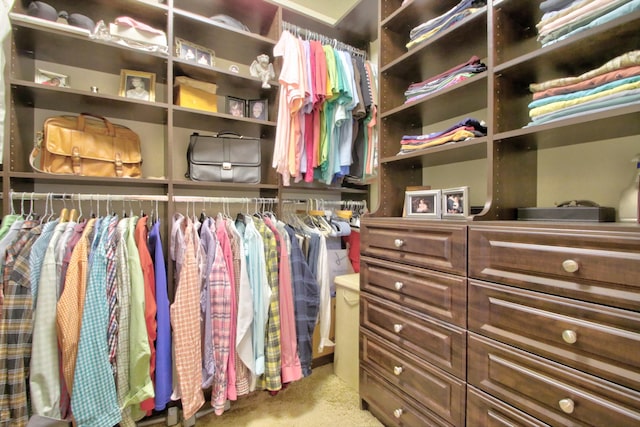 walk in closet with carpet