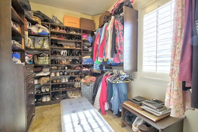 spacious closet with carpet