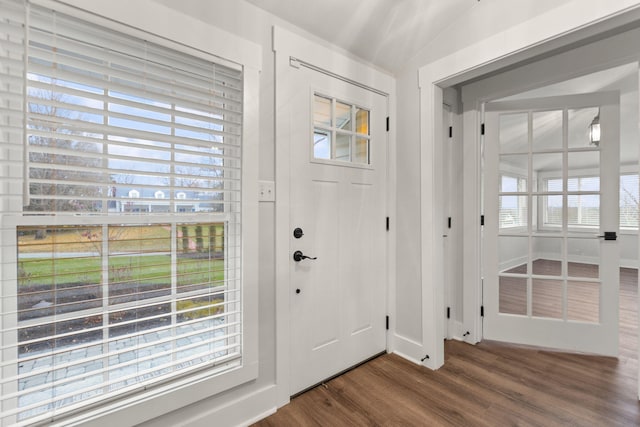 entryway with dark hardwood / wood-style floors, lofted ceiling, and a wealth of natural light