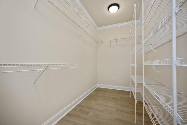 walk in closet with wood-type flooring