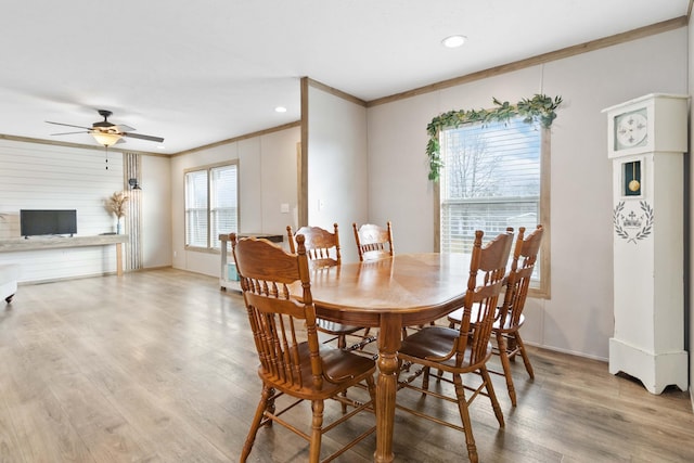 dining area with crown molding, light hardwood / wood-style floors, and ceiling fan