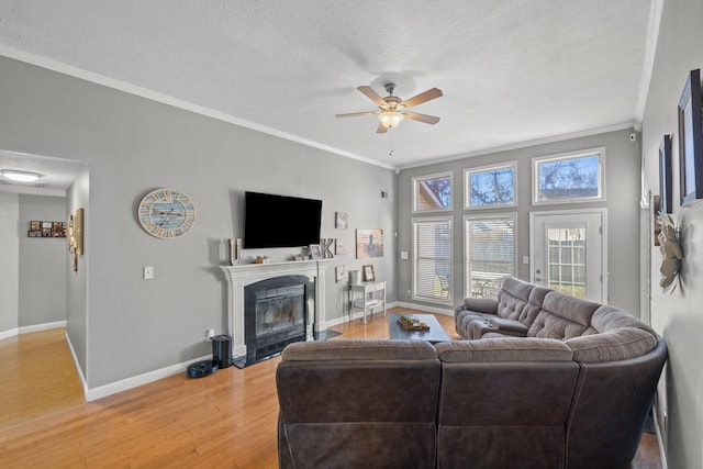 living room featuring ceiling fan, wood-type flooring, a textured ceiling, and ornamental molding