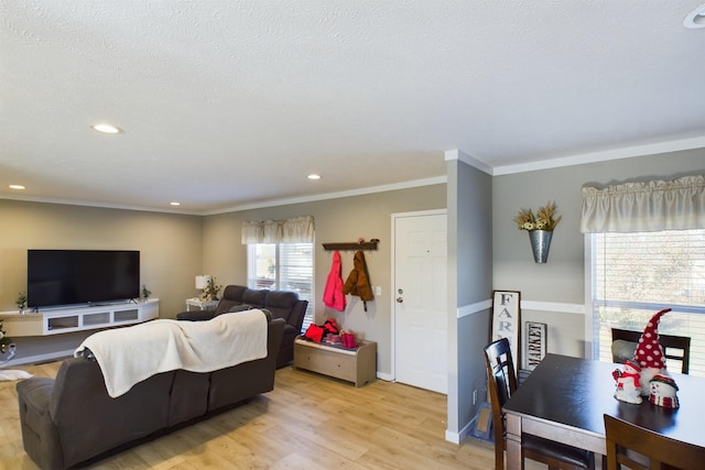 living room featuring crown molding and light hardwood / wood-style floors