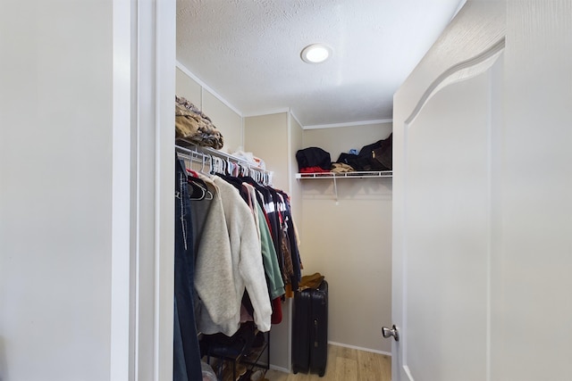 spacious closet featuring light wood-type flooring