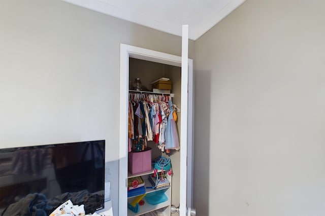 view of closet