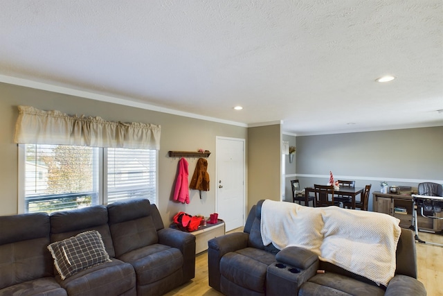 living room with a textured ceiling, light wood-type flooring, and ornamental molding